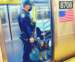 NYPD przypilnuje pociągów nocą