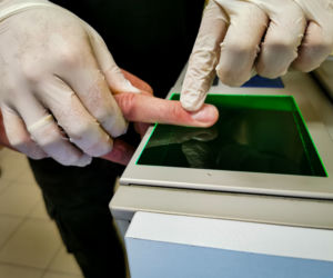 Nielegalna uprawa konopi w gminie Juchnowiec Kościelny