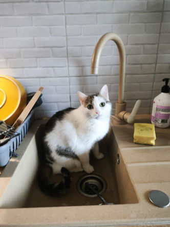 To właśnie oni zalali mieszkanie w Świdniku