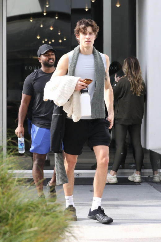 Shawn Mendes miesiąc po rozstaniu z Camilą Cabello
