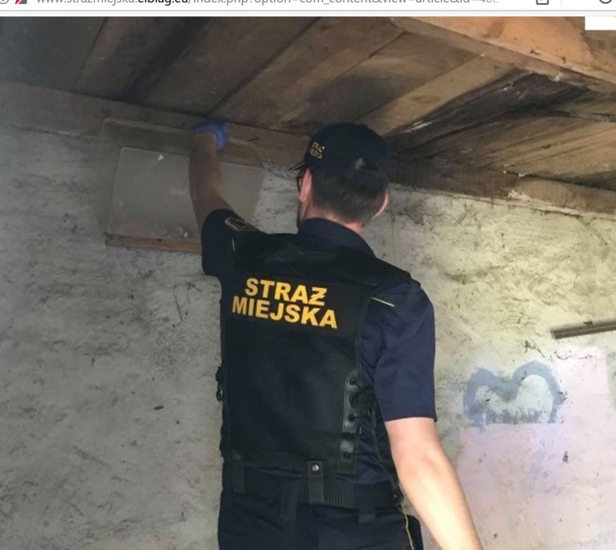 W lokalu na Starym Mieście spał Batman. Musiała interweniować straż miejska [FOTO]