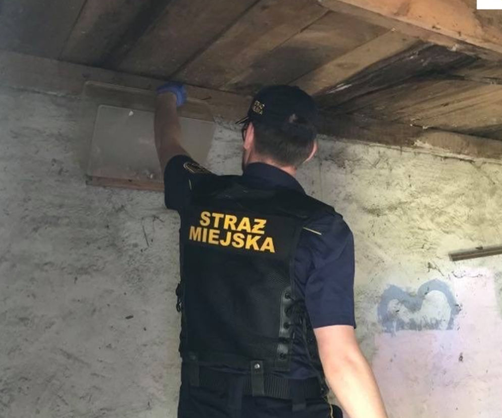 W lokalu na Starym Mieście spał Batman. Musiała interweniować straż miejska [FOTO]