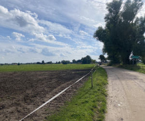 Bitwa o Polanę Ukciańską nad Krutynią