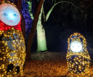 Ogród Botaniczny po zmroku zamienia się w magiczny ogród [GALERIA]