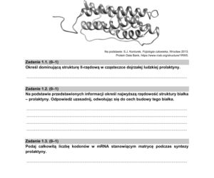 Matura 2021: Biologia. Arkusze CKE z biologii znajdziesz tutaj [Matura 12.05.2021]