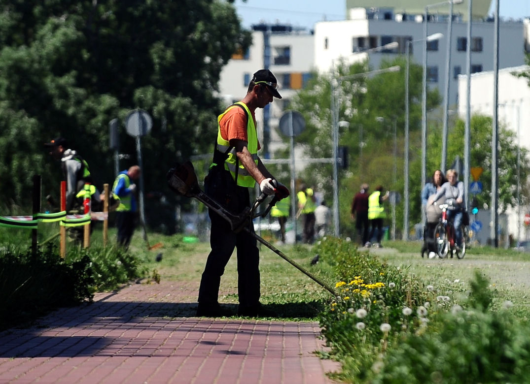 Warszawa wraca do koszenia trawników. Wielka akcja w Warszawie