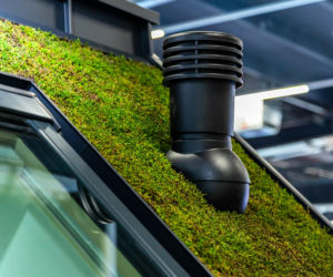 Systemowe zielone dachy - maty wegetacyjne z roślin rozchodnikowych, ziół i mchów