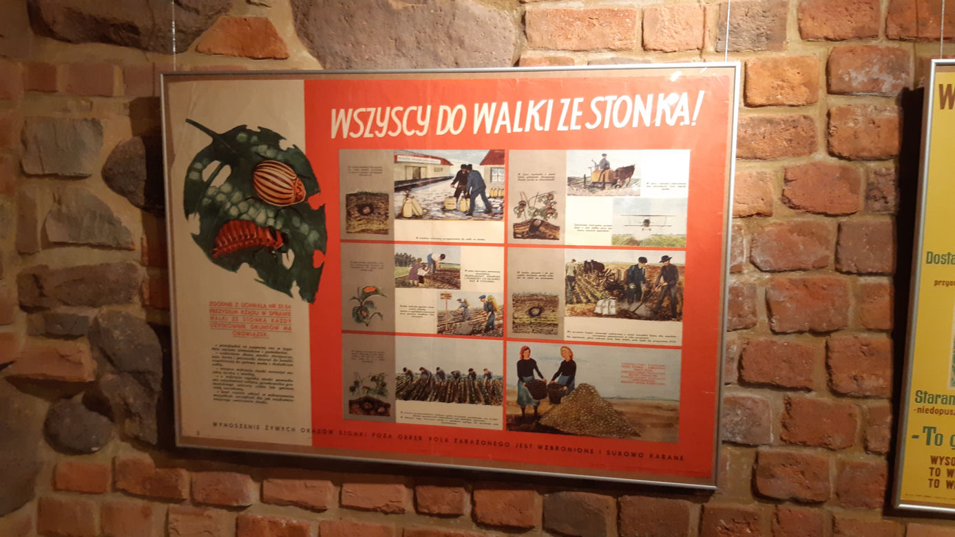 Plakaty z lat 50. i 60. ubiegłego stulecia
