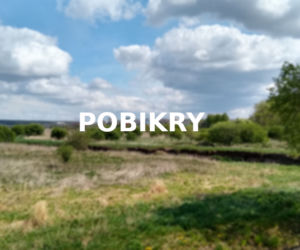 Pobikry