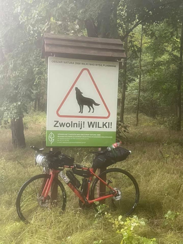 Grzegorz
