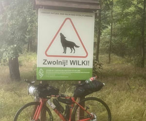Grzegorz