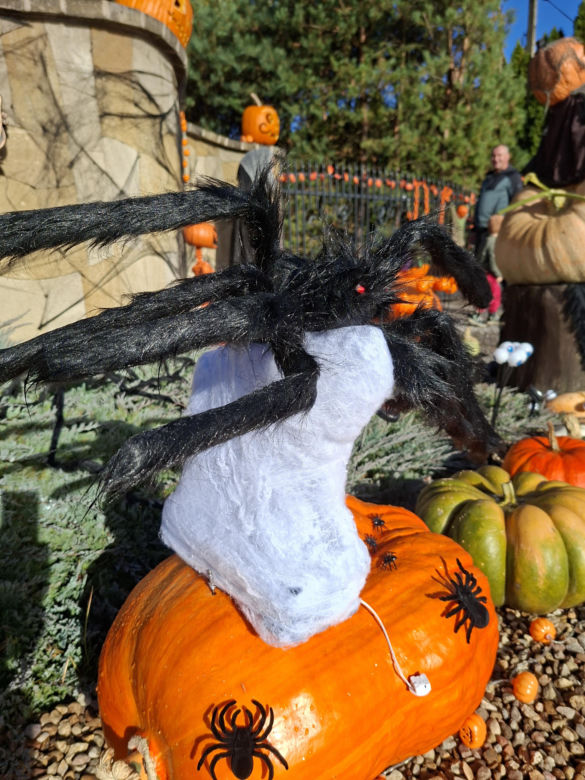 Oto najbardziej halloweenowy dom w Świętokrzyskiem!