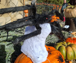 Oto najbardziej halloweenowy dom w Świętokrzyskiem!