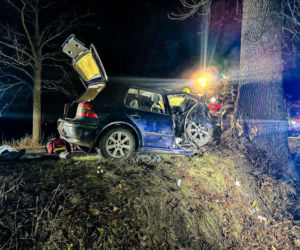 Na zakręcie pojechali prosto, ze sobą wieźli dwa duże psy. Czy któryś z nich ugryzł kierowcę?