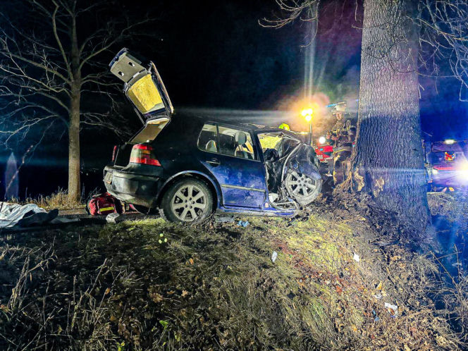 Na zakręcie pojechali prosto, ze sobą wieźli dwa duże psy. Czy któryś z nich ugryzł kierowcę?