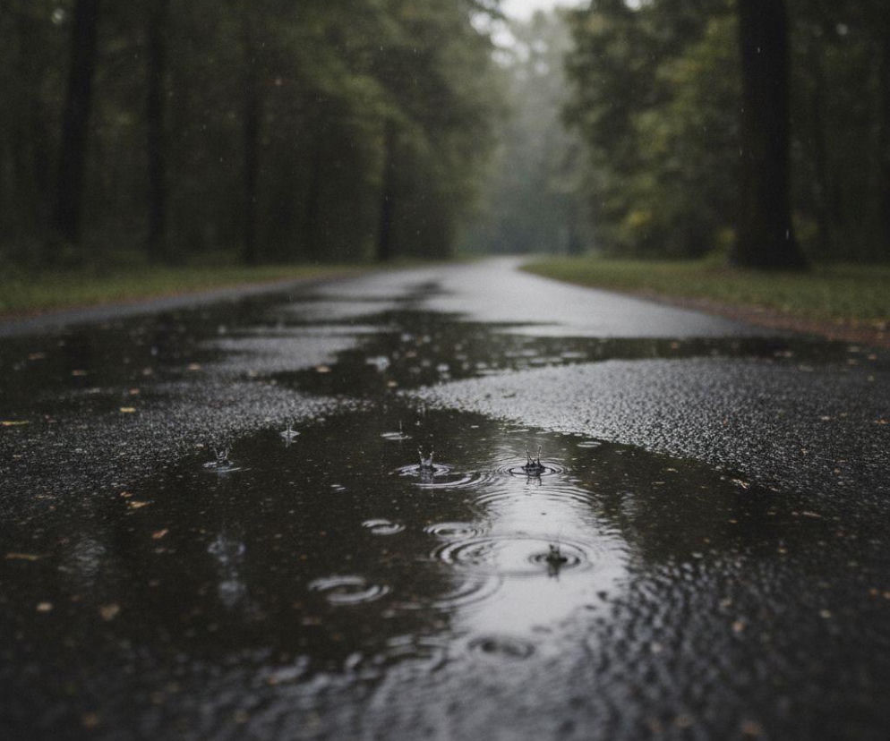 Krople deszczu uderzające w kałużę na asfaltowej drodze w parku. O pogodzie w Toruniu przeczytasz na SE.