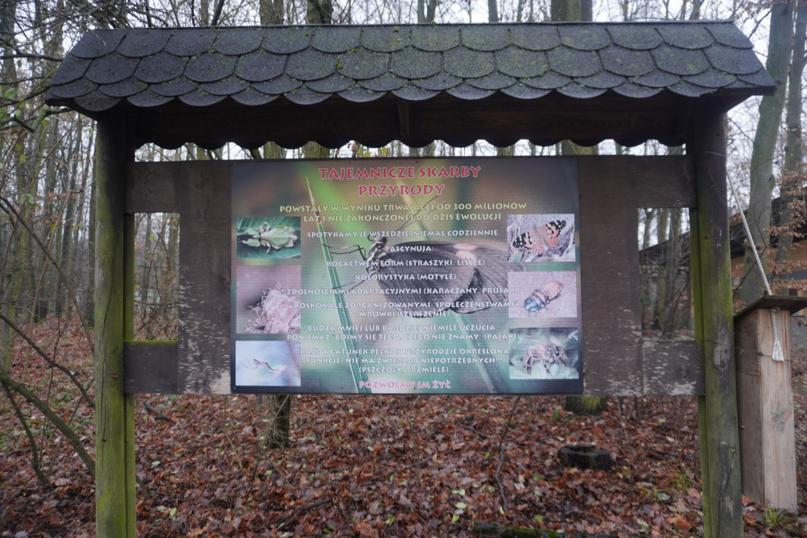 Zoo w Poznaniu zimą