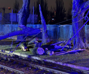 Powalone drzewa i awarie prądu w części województwa