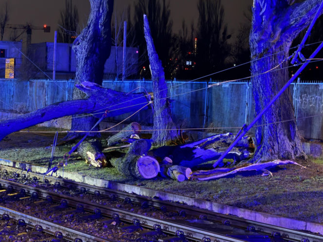 Powalone drzewa i awarie prądu w części województwa