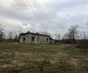 Ciało wyłowione z rzeki w Piasecznie