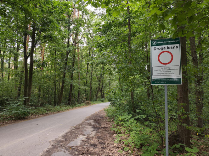 Zabójca z lasu schwytany? 19-latek wpadł pod domem ofiary