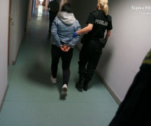 BRUTALNE pobicie w Świętochłowicach! Sprawcy byli bezwzględni [ZDJĘCIA]