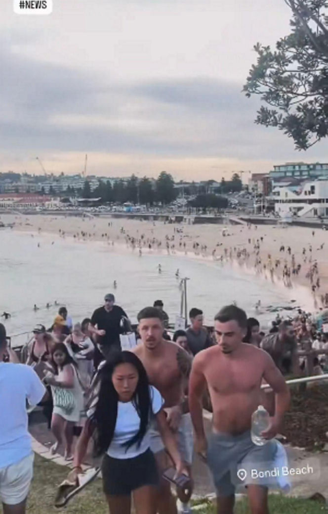 Masowe strzały na plaży! Wyciekły przerażające nagrania. "Jesteśmy wstrząśnięci"