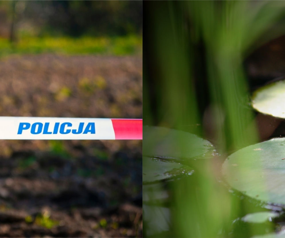 Potworne odkrycie koło Włocławka. W przydomowym stawie pływały zwłoki!