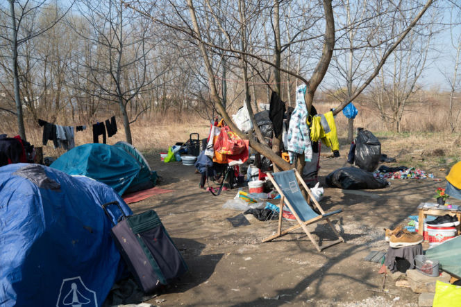 Ich dom to namiot w rezerwacie. Jak Paweł, Agnieszka i Zbyszek zorganizowali życie w cieniu mostu?
