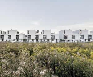 Osiedle Brzozowy Las w Wawrze