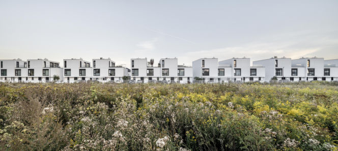 Osiedle Brzozowy Las w Wawrze