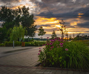 Zalew Pasternik w Starachowicach