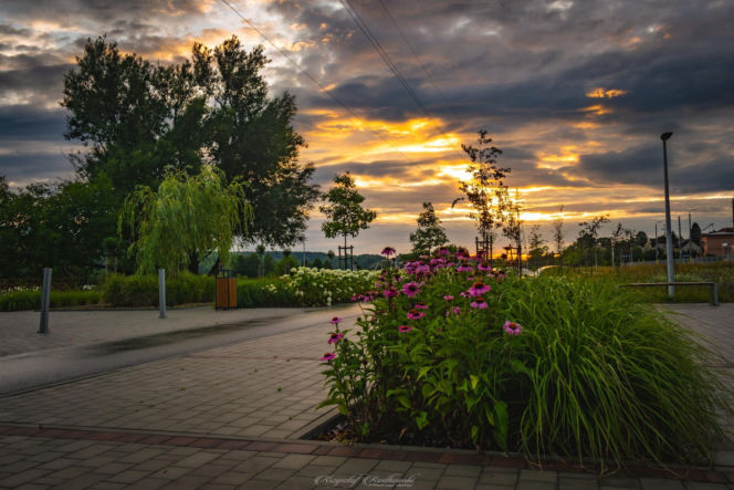 Zalew Pasternik w Starachowicach