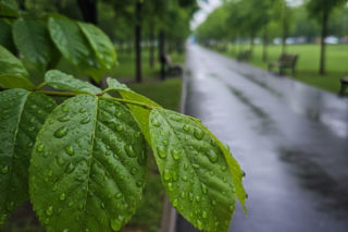 Deszczowa sobota zakłóci weekend w Poznaniu. Niedziela przyniesie poprawę pogody