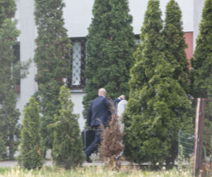 Szydło ma tragarza