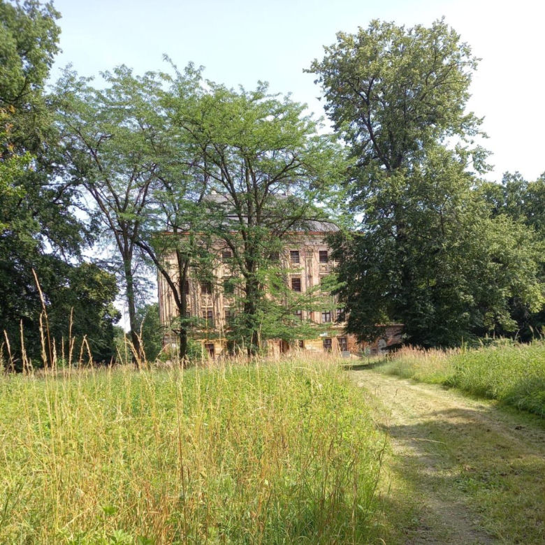 Tajemniczy Pałac w Piotrkowicach. Perła architektury baroku wygląda jak wieżowiec