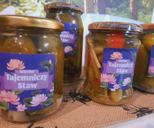 Bistro Tajemniczy Staw po Kuchennych rewolucjach