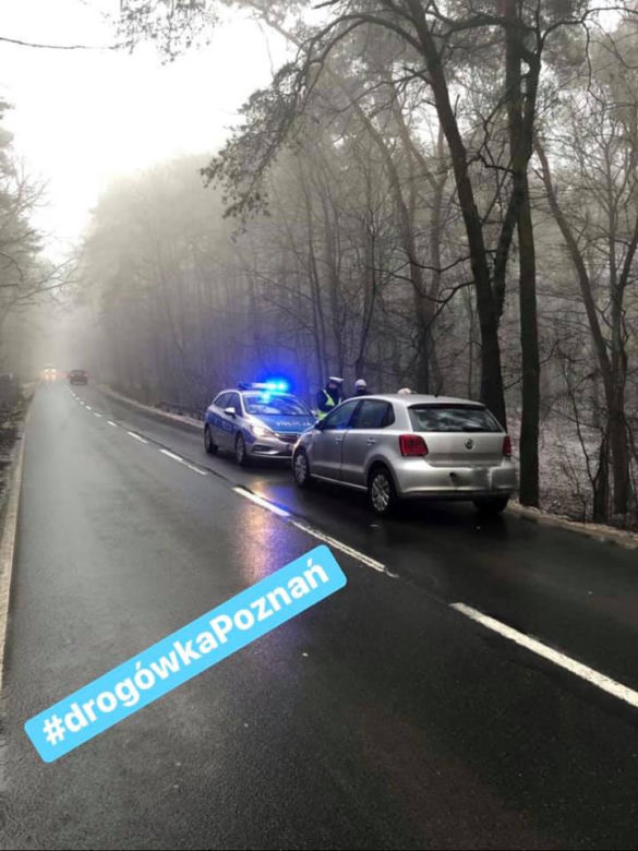 Główne grzechy kierujących w Poznaniu. "Gaz do dechy i do przodu"