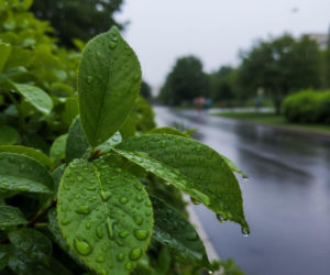 Weekend w Opolu z deszczową przerwą. Po chłodniejszej sobocie wróci ciepło