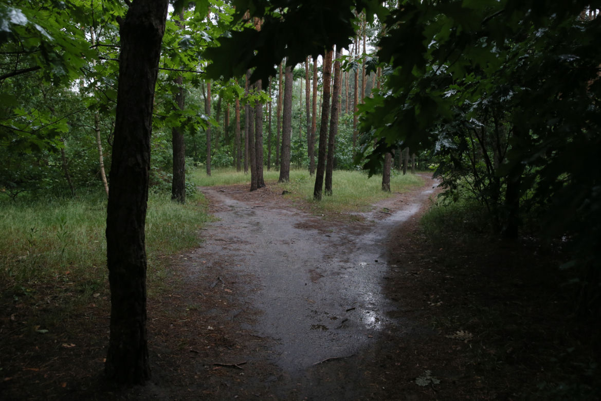 Wytną drzewa żeby zrobić Park Aktywności Rodzinnej. Mieszkańcy Wawra wściekli