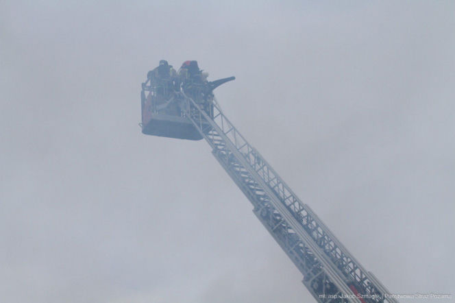 Pożar hali pod Poznaniem