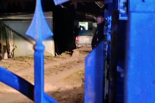 Zasztyletował Edytę przy kolacji