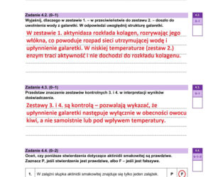Matura 2026 biologia 8.05.2026. Przecieki, arkusze CKE, rozwiązania zadań z biologii [Matura Formuła 2015 i 2023]