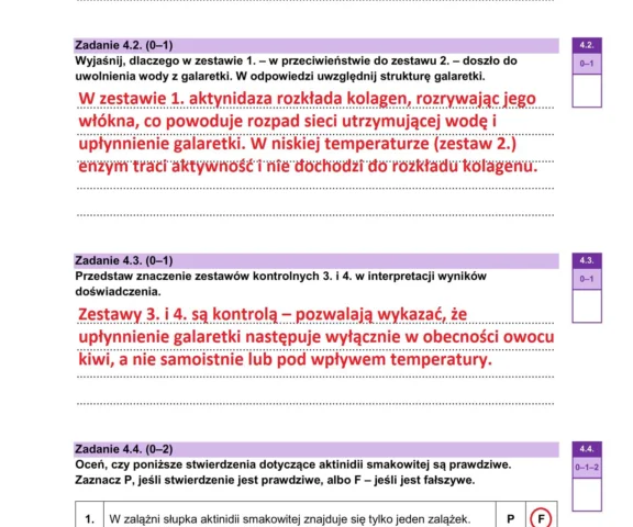 Arkusze i odpowiedzi z matury z biologii. Pełne omówienie