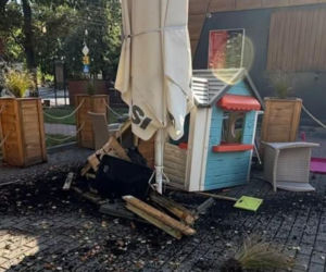 Pisk opon i huk. Citroen wjechał w ogródek restauracji. 40-latka była kompletnie pijana [ZDJĘCIA]