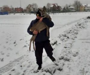 Olsztyn. Sarenka utknęła na Orliku. Pomogli strażnicy miejscy