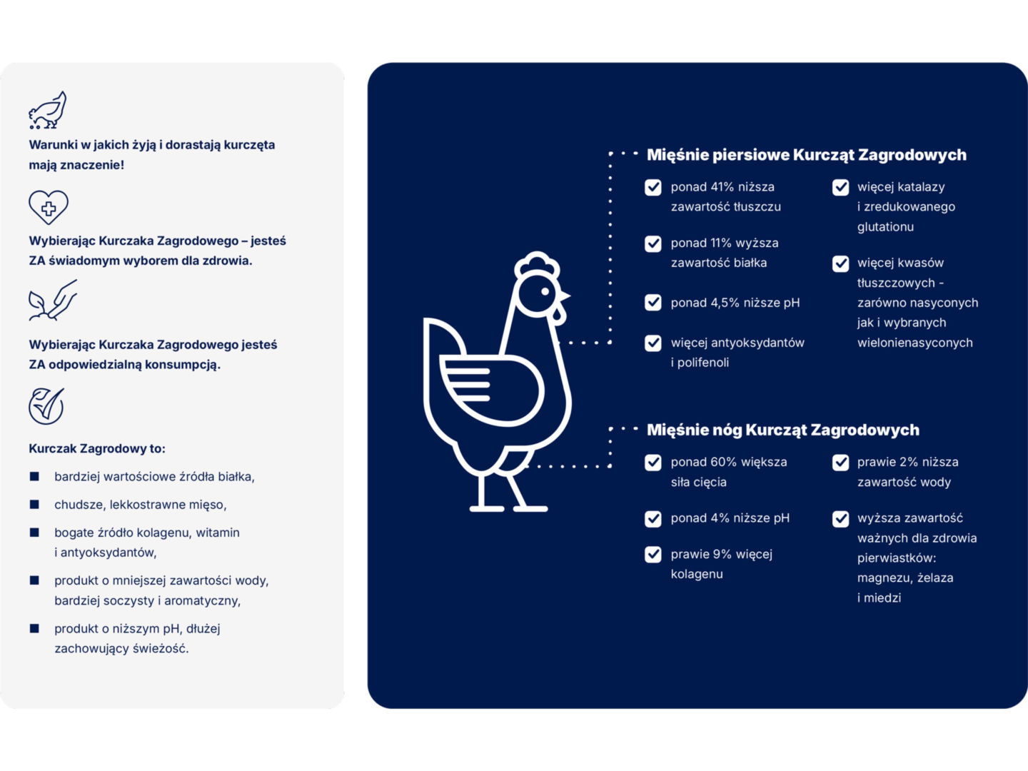 Infografika Zagrodowy_premium
