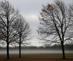 Sosnowiec 20.11.2025 pogoda. Czy chłód zaatakuje z pełną siłą?