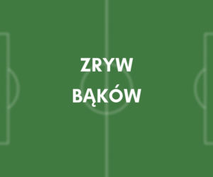Zryw Bąków