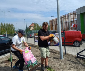 W czynie społecznym odpicowali ogród przy nowej szkole w Iławie!